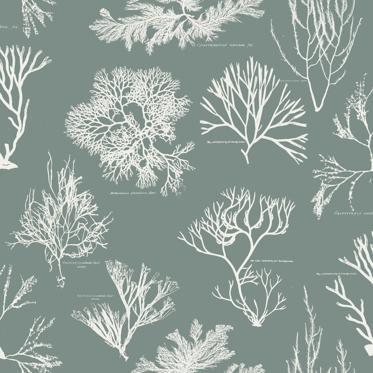 Neptune's Garden pattern thumbnail