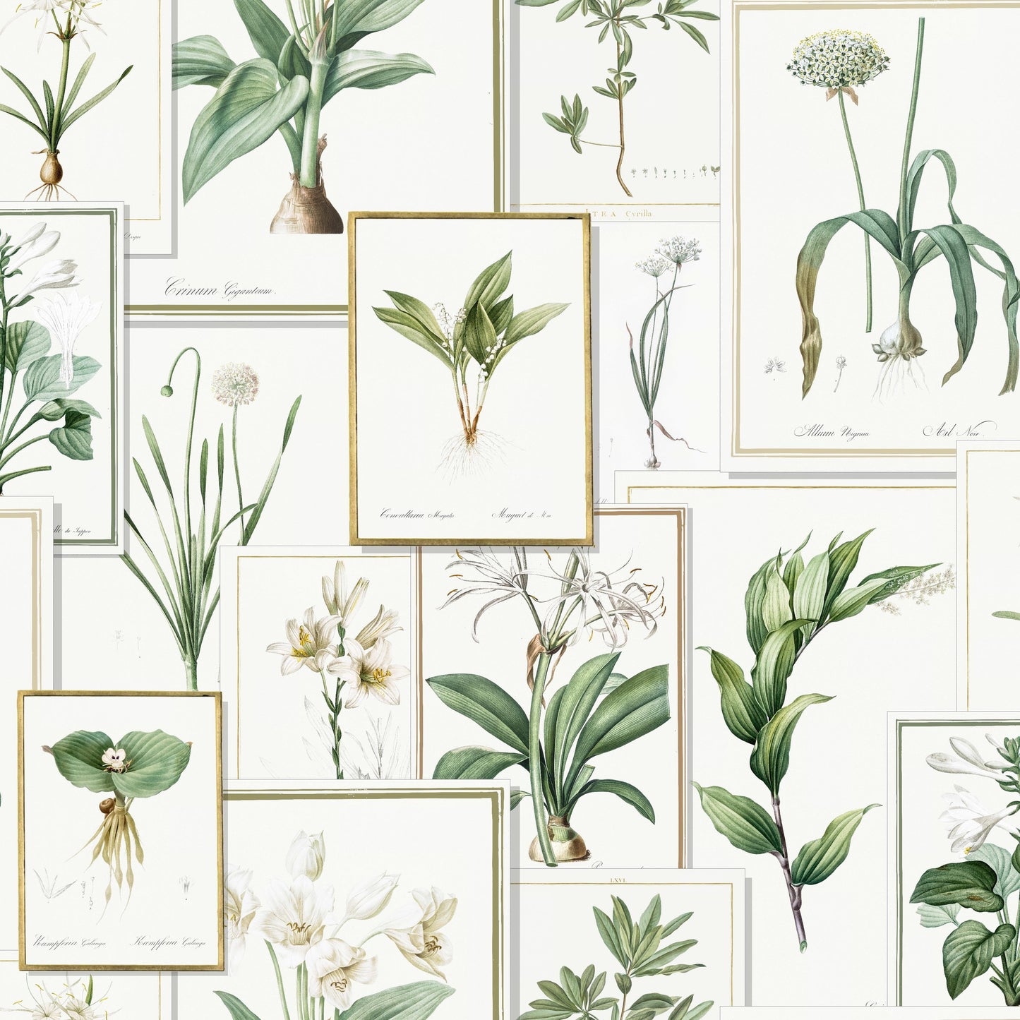 Piere pattern thumbnail