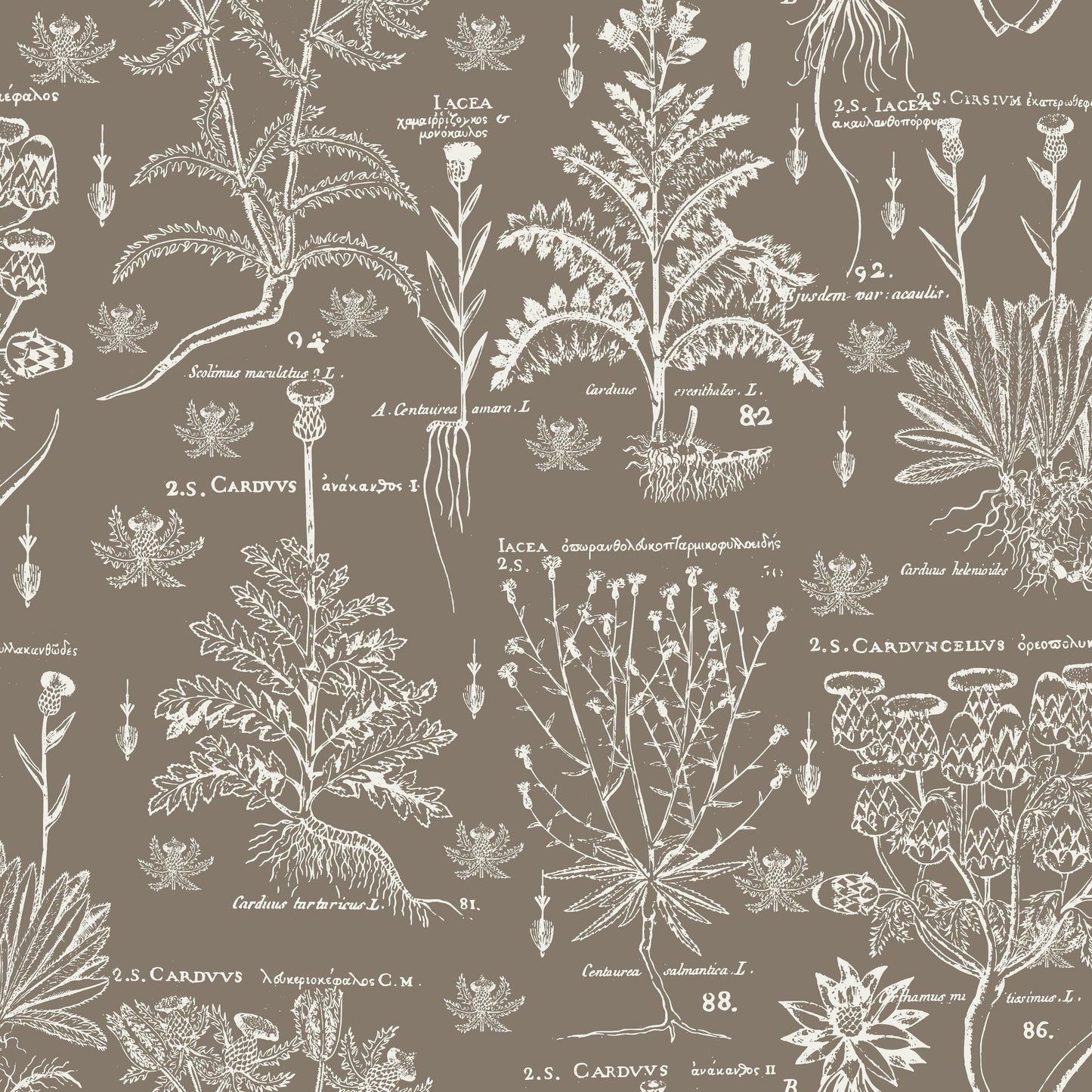 Scottish Thistle pattern thumbnail