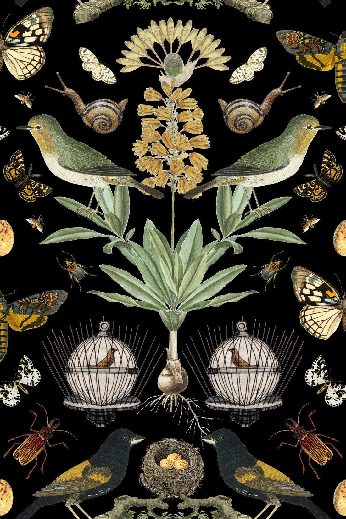 Birdcage On Black pattern thumbnail