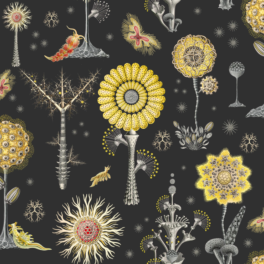 Haeckel In Yellow pattern thumbnail