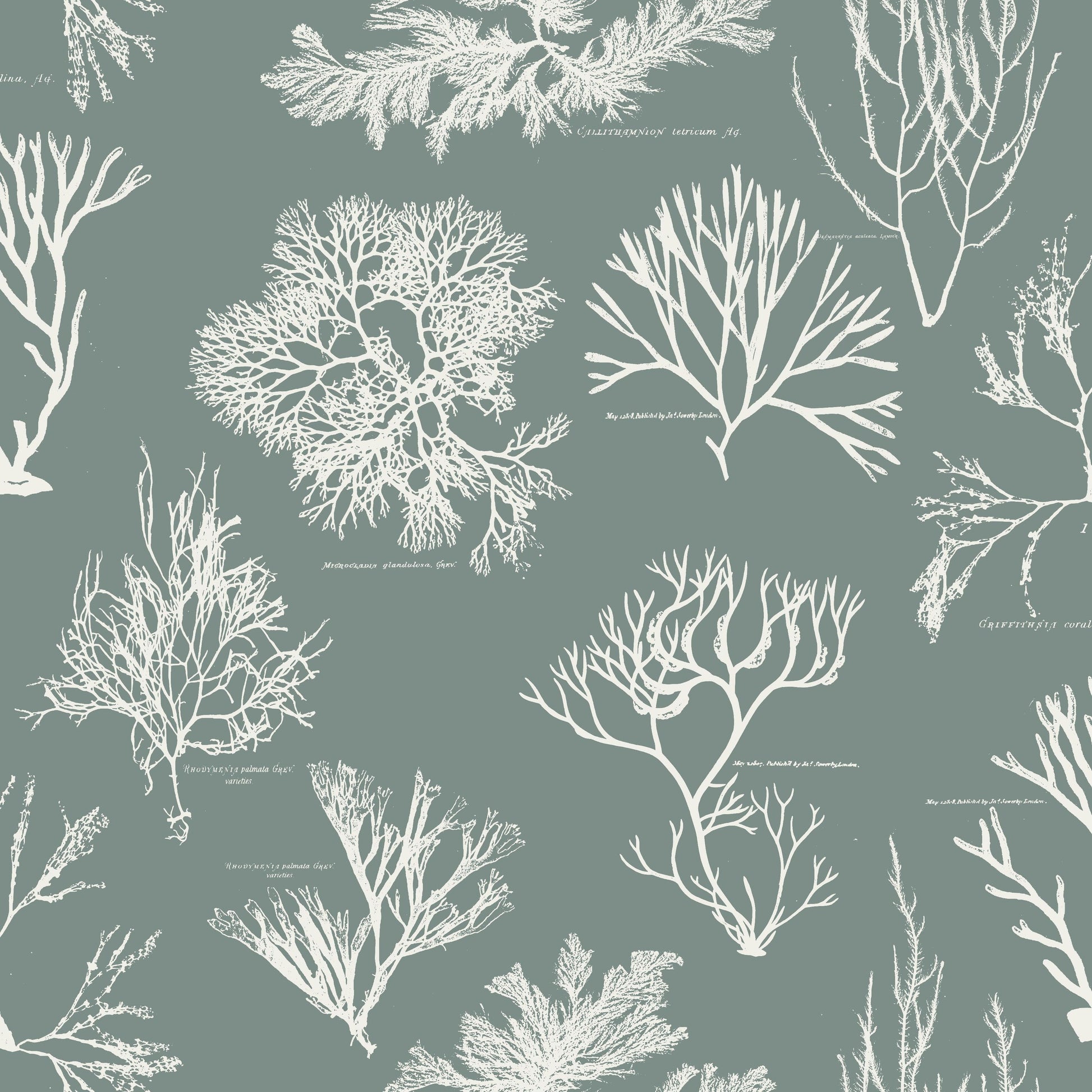 Neptune's Garden pattern thumbnail