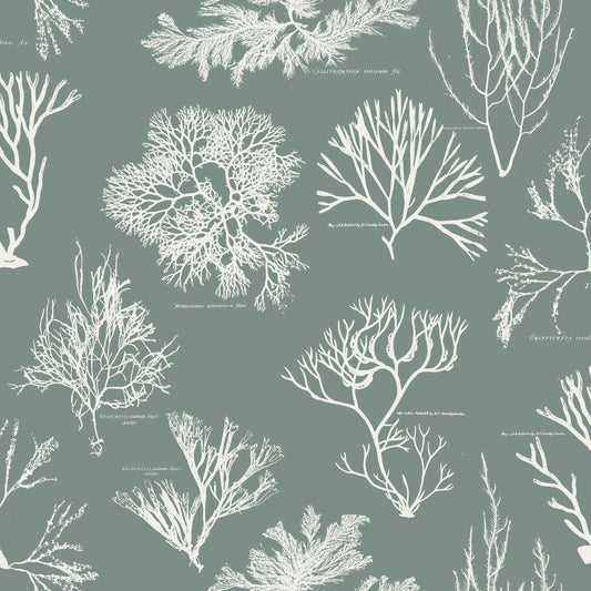Neptune's Garden pattern thumbnail