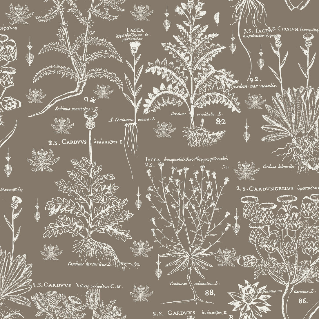 Scottish Thistle pattern thumbnail