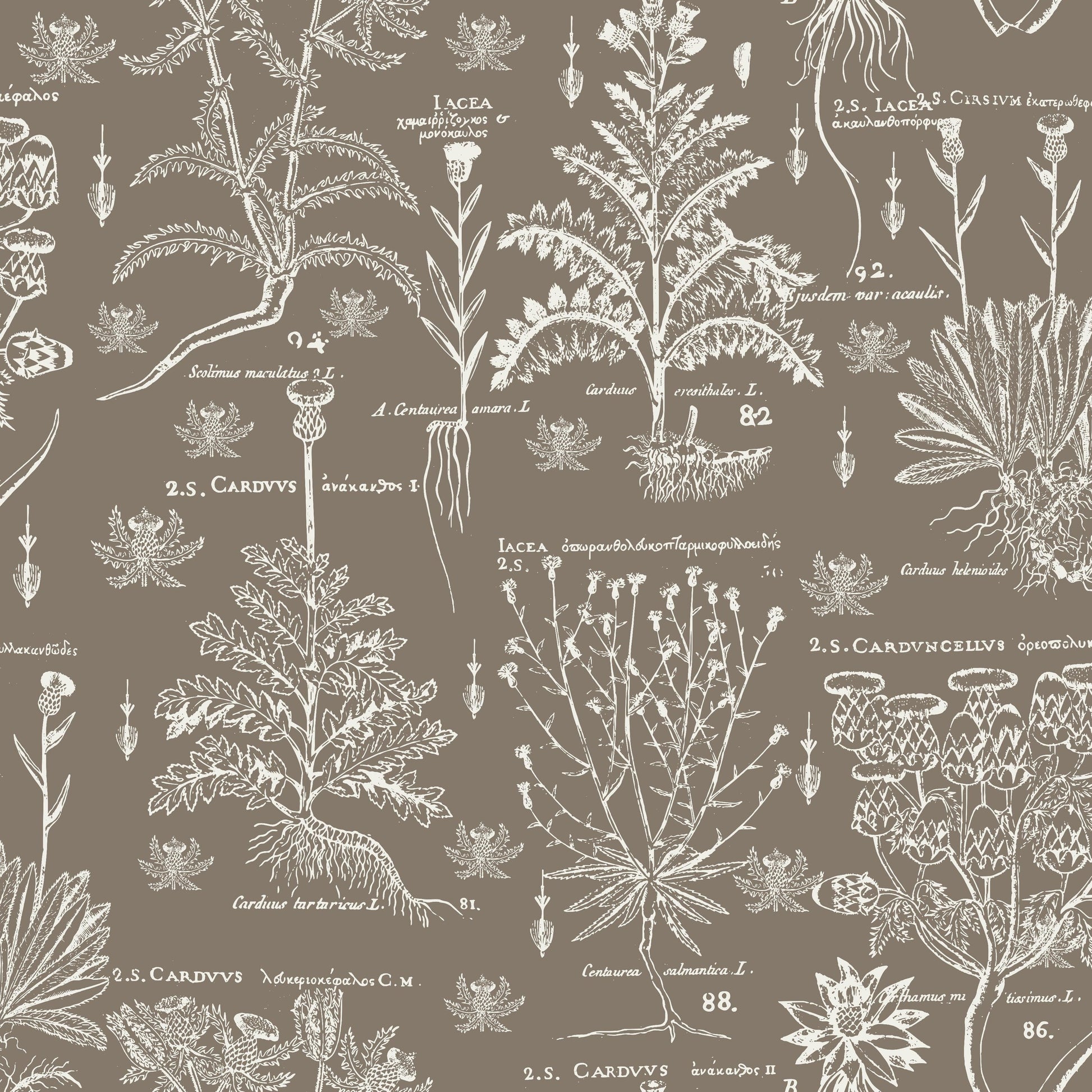 Scottish Thistle pattern thumbnail