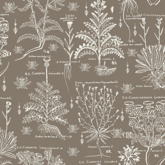 Scottish Thistle pattern thumbnail