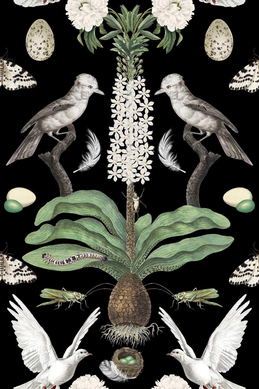 White Doves On Black pattern thumbnail