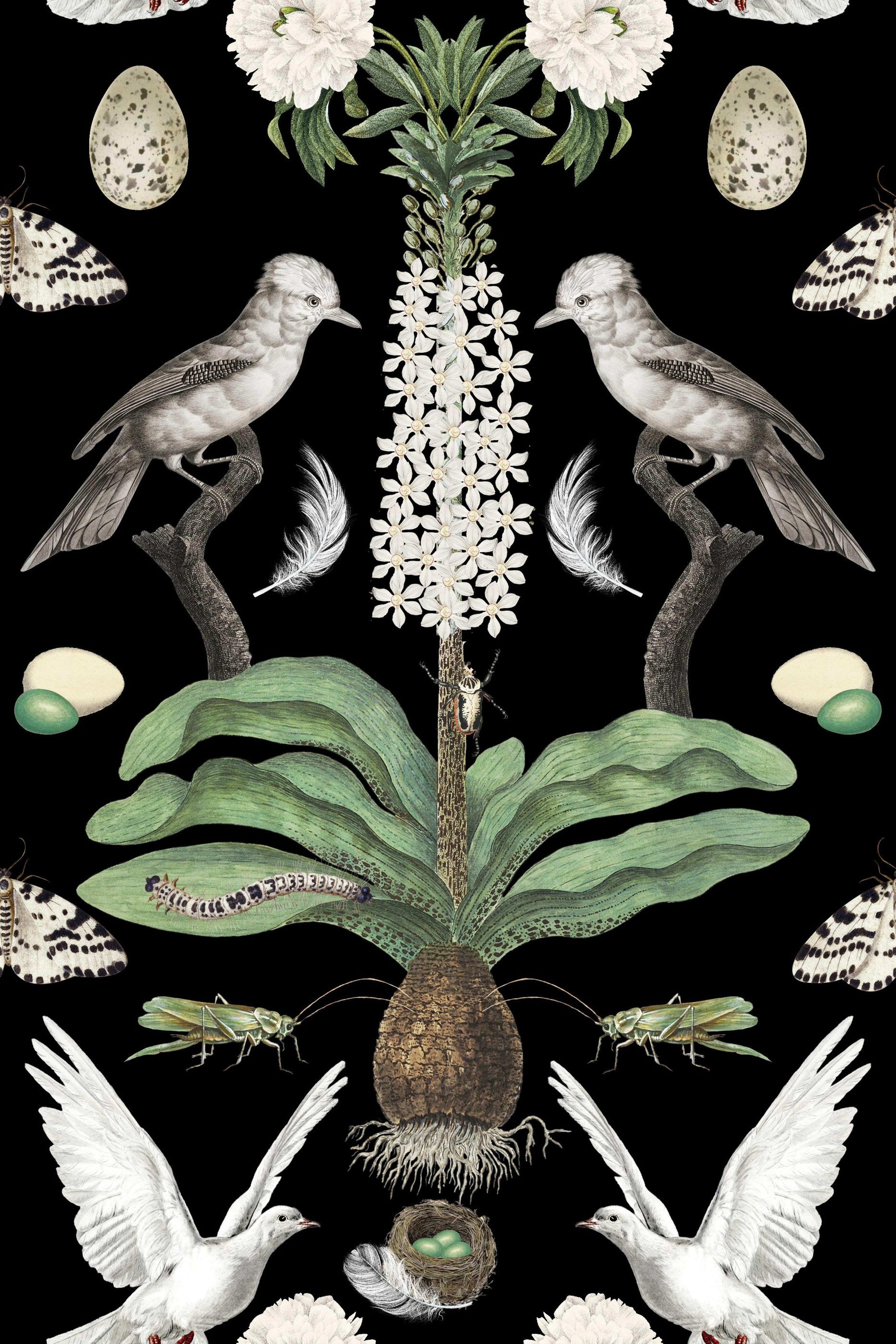 White Doves On Black pattern thumbnail